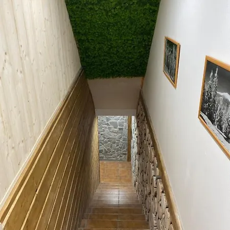 Pensionat Penzion Kupfer 3*